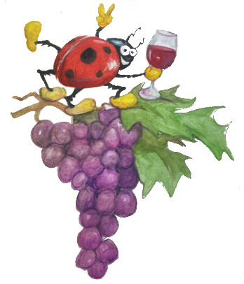 Vino Biologico
